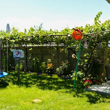 хаджиеви * Ogneanovo