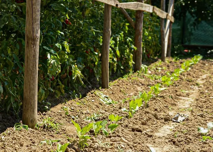 хаджиеви * Ognyanovo (Blagoevgrad)